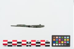 Foto von Bronzeschlangenfibel (NHMW-PRAE-025063)